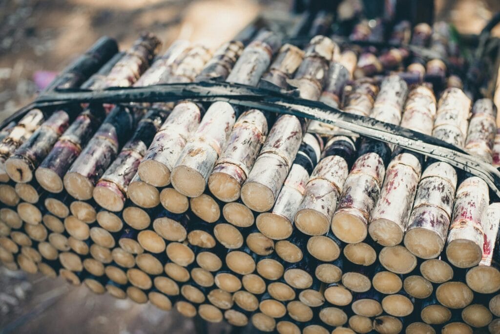 Close-up view of bundled sugarcane stalks, showcasing natural textures and vibrant colors.